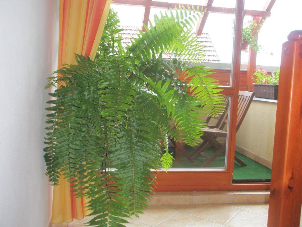 Villa Elena Smizany Bilik gambar